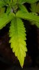 20201208_232619.jpg