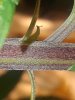 20201209_162459.jpg