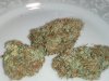 IMG_20201210_083816989.jpg