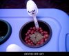 20090620-Bia.jpg