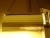 DSC00558.jpg