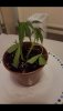 Screenshot_20201215-135059_Gallery.jpg