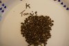 1 kosher tangie.JPG