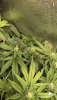 28702D11-1CCE-41BA-AC41-46886A14E285.png
