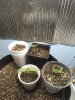 20201216_110817.jpg 20201216_110817.jpg
