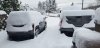 20201217_093725.jpg