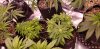 20201218_190051.jpg 20201218_190051.jpg