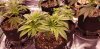 20201218_190044.jpg 20201218_190044.jpg
