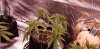 20201218_190030.jpg 20201218_190030.jpg
