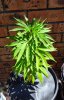 M01-plant-overall-overview.jpg