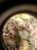 20201220_074909.jpg