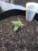 20201220_115031.jpg