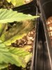 IMG_0292.jpeg