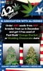 fast-buds-info-dec20.jpg fast-buds-info-dec20.jpg