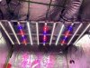 456780E8-C42D-4CCE-B013-A3FF79244E48.jpeg