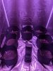 PXL_20201224_173138877.jpg