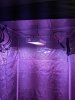 PXL_20201224_173322819.jpg