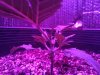 20201224_155538.jpg