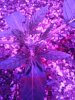 20201224_155553.jpg