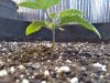 20201224_132432.jpg