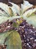 20201224_132611.jpg