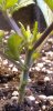 Screenshot_20201225-163957_Gallery.jpg