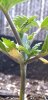 Screenshot_20201225-163922_Gallery.jpg