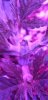 Screenshot_20201225-163736_Gallery.jpg
