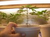 100_4604.jpg