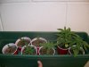 100_4605.jpg