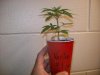 100_4606.jpg