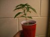 100_4608.jpg