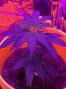 20201226_093229.jpg