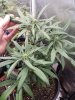20201227_224630.jpg