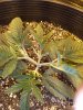 20201228_121330.jpg