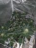 IMG_20201226_200817024.jpg