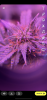 A36B044A-6A63-4350-AC01-12AD643F62BC.png