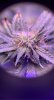 8277329C-D99E-4AFE-987A-0D2E14E24935.jpeg