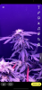 51785040-0702-4B46-A3EB-D02A4476A96B.png
