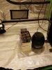 20201228_165536.jpg