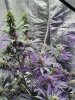 20201230_094105.jpg