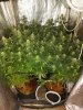 20201231_082347.jpg 20201231_082347.jpg