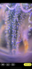 5DC93FF7-45F1-4342-95DF-4B3F80AD99C1.png