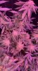 ECD3FD79-ECC2-4280-9696-A02861B99123.jpeg