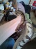 20201212_102023.jpg