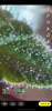 CF3E17A5-DC98-4D43-A0A2-AE25577D88E4.png