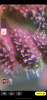 27A854DE-8BCD-4F99-A3EC-99AE227ED165.png
