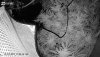 D9817F73-1C0C-4C01-A2C1-D640C8630B64.jpeg