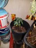 20210104_174349.jpg