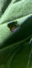 0560783B-6225-4A74-B852-4F6F9D78B225.png